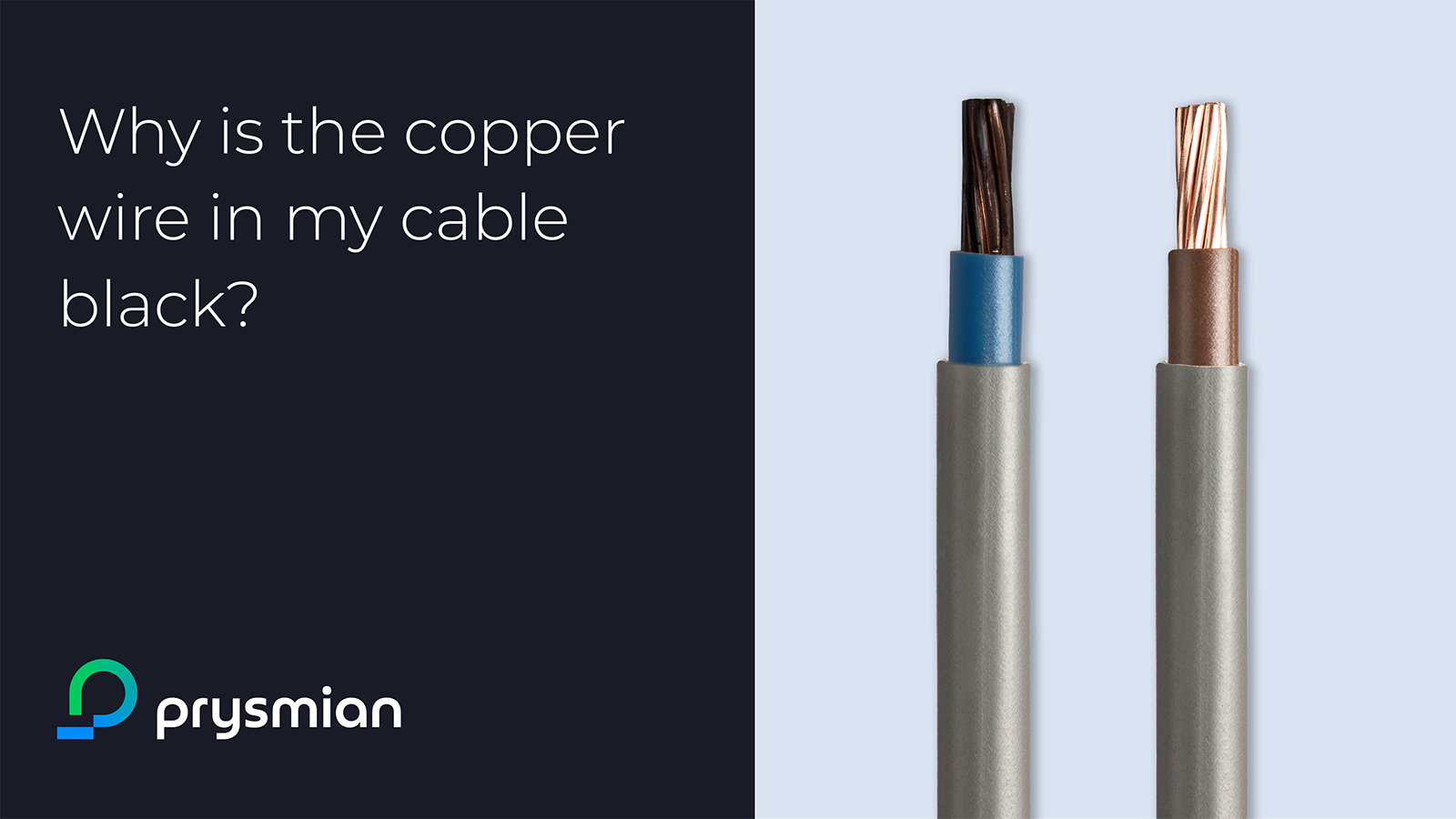 Image showing two vertical cables, one with shiny copper, the other with dull copper