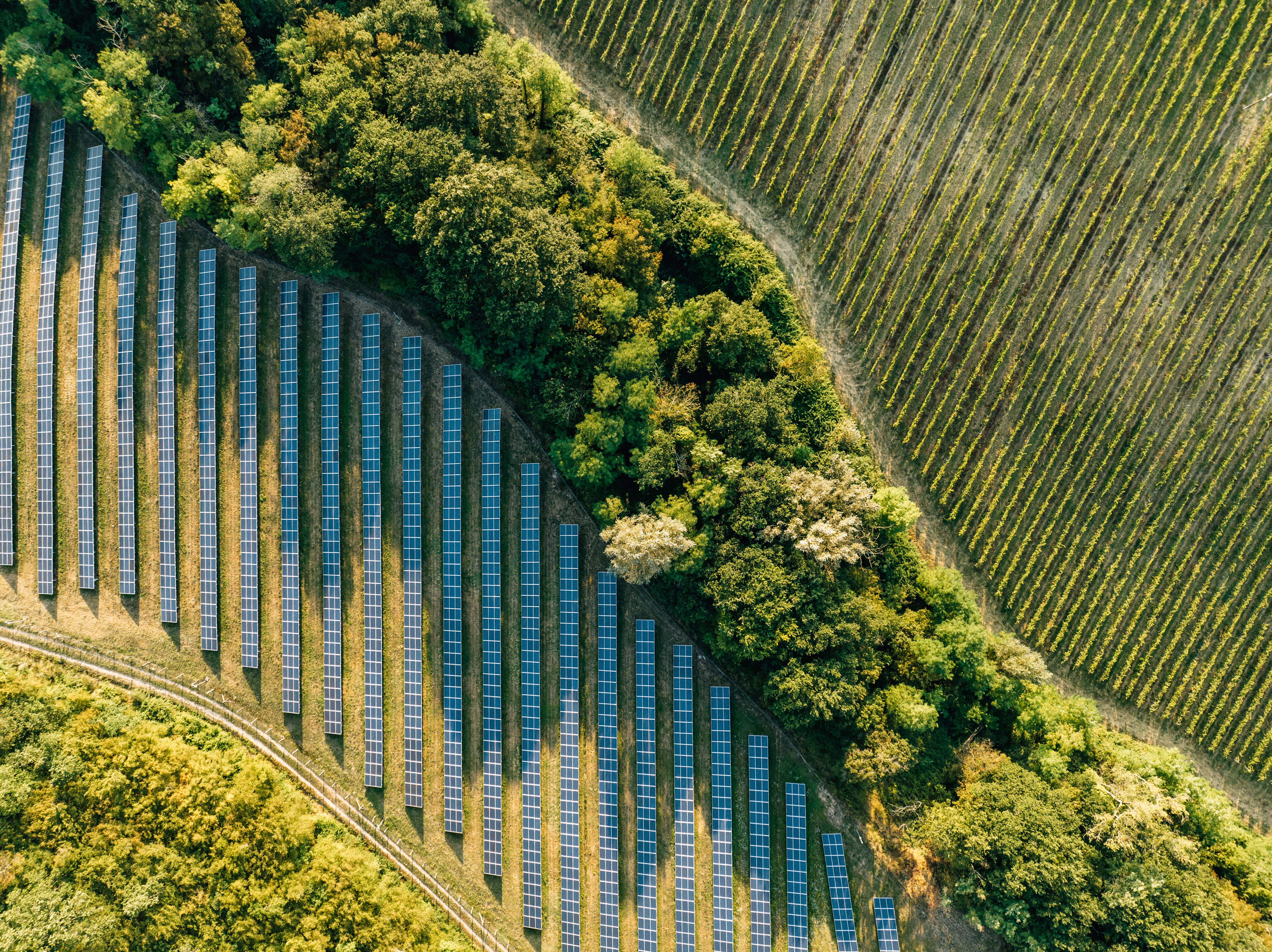 Aerial view of a solar farm in the countryside.