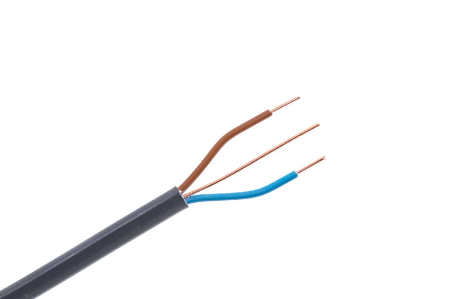 and image of a two-core twin and earth cable with brown and blue insulation