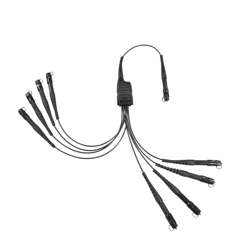 CCBT product