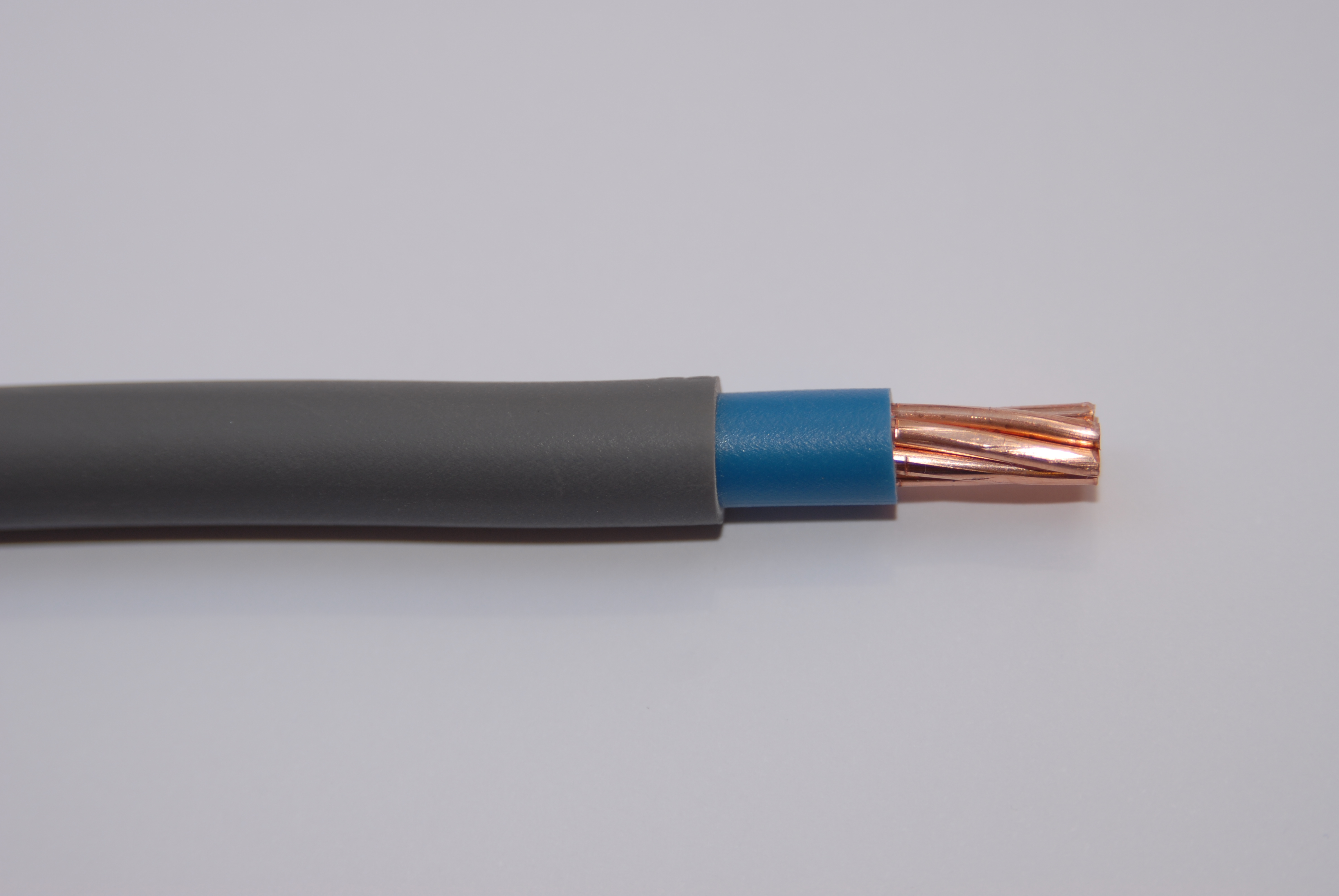 an image of a grey cable with blue insulation and copper wires