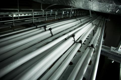 an image showing rows of white cable on a tray