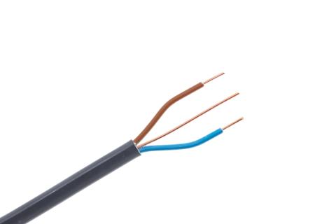 and image of a two-core twin and earth cable with brown and blue insulation